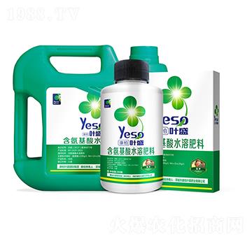 菠蘿專用含氨基酸水溶肥料-葉盛生物