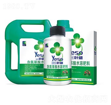 大棗專用含氨基酸水溶肥料-葉盛生物