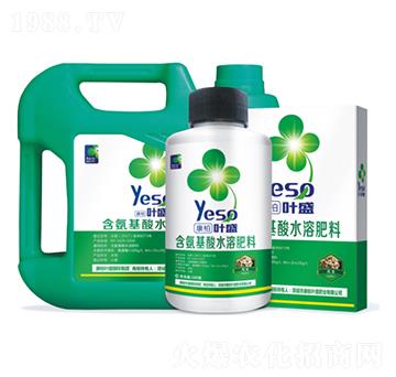 花生大豆專用含氨基酸水溶肥料-葉盛生物