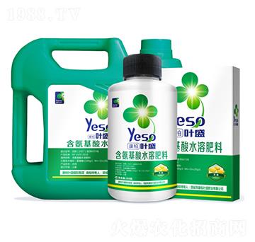 芒果專用含氨基酸水溶肥料-葉盛生物