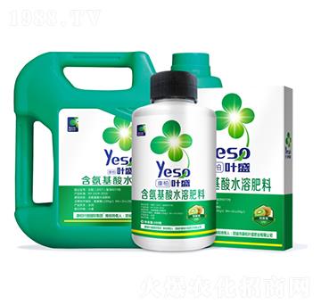 獼猴桃專用含氨基酸水溶肥料-葉盛生物