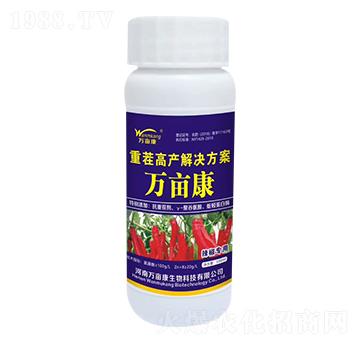 ������(zhu��n)���ز�߮a(ch��n)��Q����-�f(w��n)����