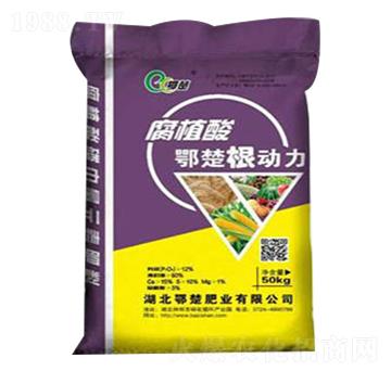 ��ֲ�������-����-����ɽ