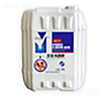 �r(n��ng)��΢�������-��؁�(l��i)���a(b��)-�����