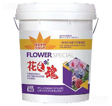 ��֮��-���|�S