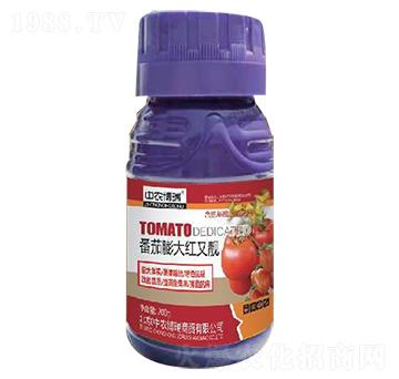 �������t���n-���|�S