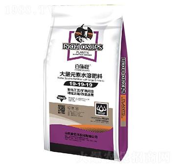 ����Ԫ��ˮ�ܷ���19-19-19+TE-��ʩ��-���|�S