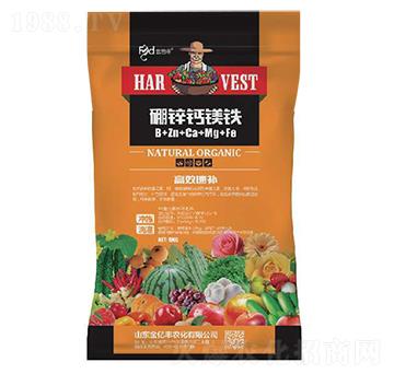 ���\�}�V�F-���|�S