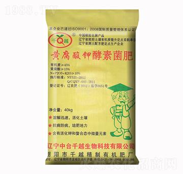 �S����⛽��ؾ���-ǧԽ