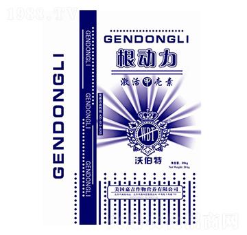 ����(d��ng)��-�ֲ���-���r(n��ng)����