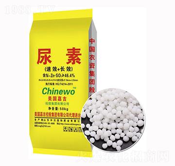 ��������-����