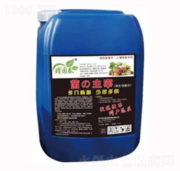 ΢�������-������-�A���SԴ