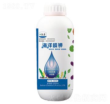 �������-�P��-����}