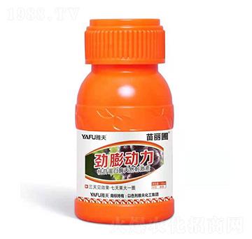 �����(d��ng)��-������-�ŷ򻯹�