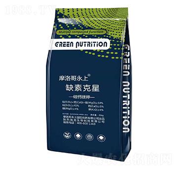 ȱ�ؿ���-���}�V�-���ϻ���