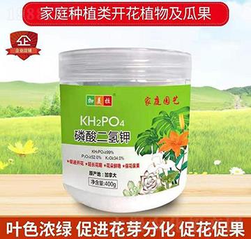 ��������-������