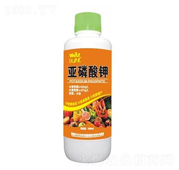 �������-������