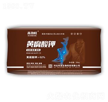 �S�����-�̄���-�h(hu��n)������