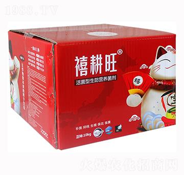 ����������I(y��ng)�B(y��ng)����-������-���r(n��ng)�A��