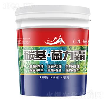 ̼����������-�S����(m��ng)-�����r(n��ng)�I(y��)