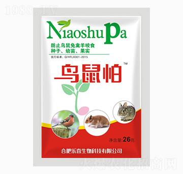 �B(ni��o)����-�����r(n��ng)�I(y��)