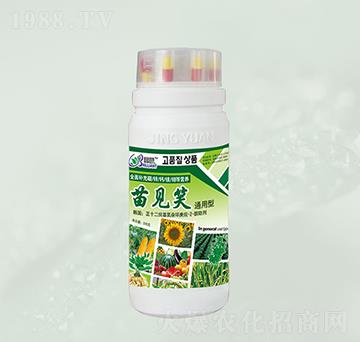 ��Ҋ(ji��n)Ц��ͨ���ͣ��~���-���@����