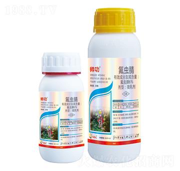 6%���x(ch��ng)��-����-��(y��u)���_(d��)