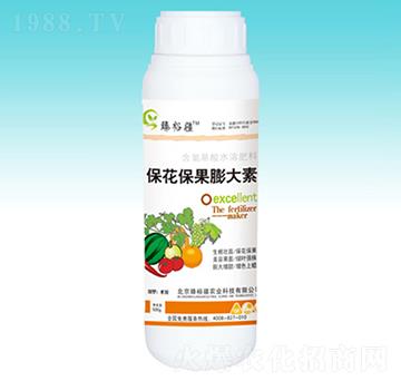 �������������-��ԣ��