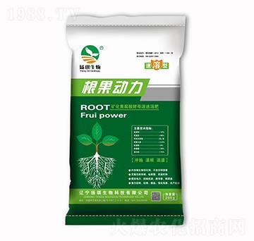 ������(d��ng)��-�P(y��ng)������