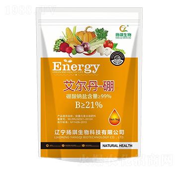 ��������-�P������