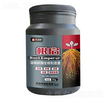 ��ķ̼ø�����̼���-����-�P��˹