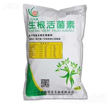 ���������-�عڸ�