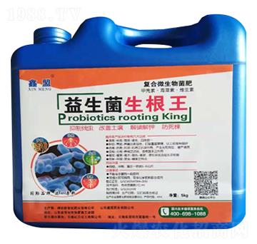 ������������-�����o�ʘI(y��)