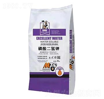 ��������-�����o�ʘI(y��)