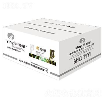 大西洋天然海藻提取物-金盈萊（盒）-盈萊生物