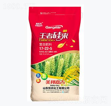 復(fù)合肥料17-22-5-施?？?悅農(nóng)化工