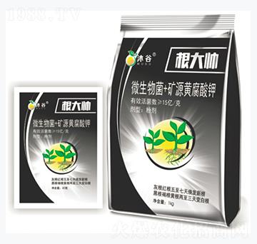 ΢�����+�VԴ�S�����-����-�������