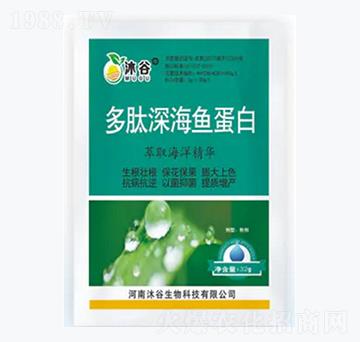 多肽深海魚(yú)蛋白-沐谷生物