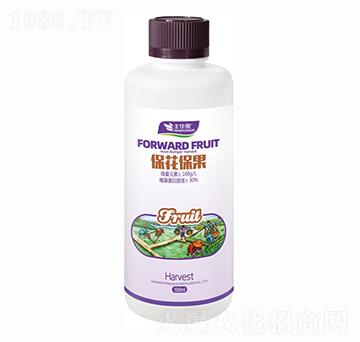 ����������-�S�A��-�S�A�ʘI(y��)