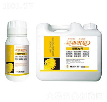 �㽶����-�������-����ֲ��