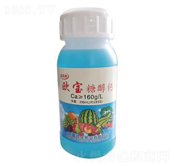 �W���Ǵ��}-������-��ɭ��