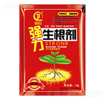 ����������-���л���