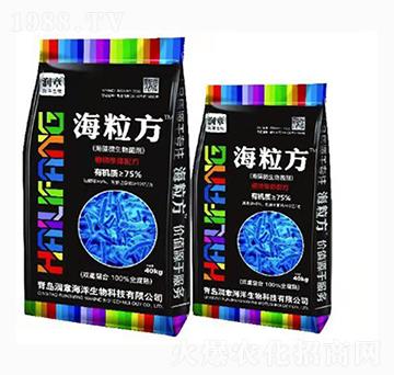 ����΢�������-������-��(r��n)�º���