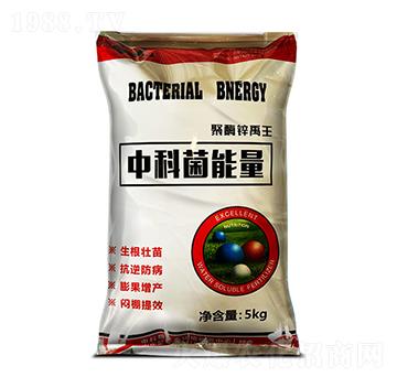 �пƾ������ۄ�-��ø�\����-���r(n��ng)����