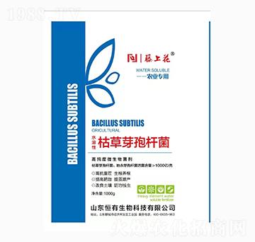 �ݲ�ѿ�ߗU��-���ϻ�-��������