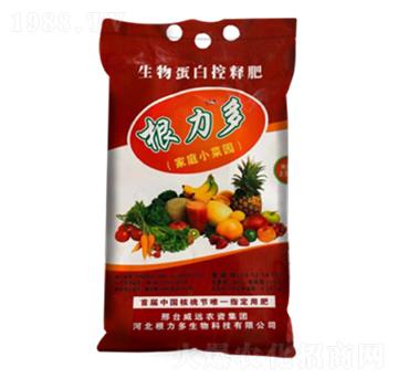 家庭小菜園-根力多