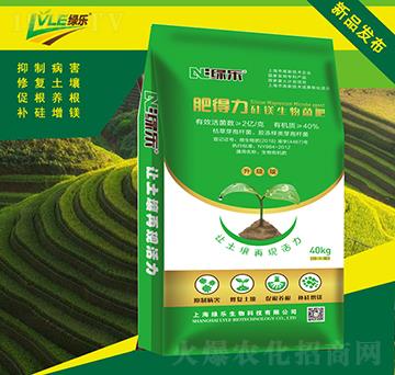 ���V�������-�ʵ���-�G������