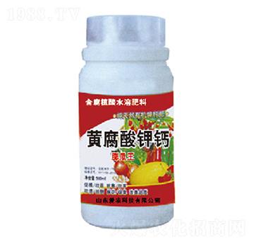 �S������}-�и�����