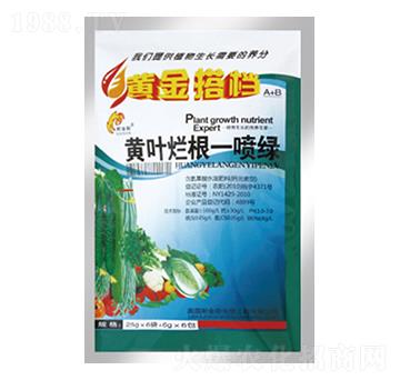 �S�~����һ���G-�S���n-�и�����