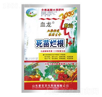 ���砀��1+1-Ѫ��-�и�����